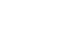Europe Vitality Wand